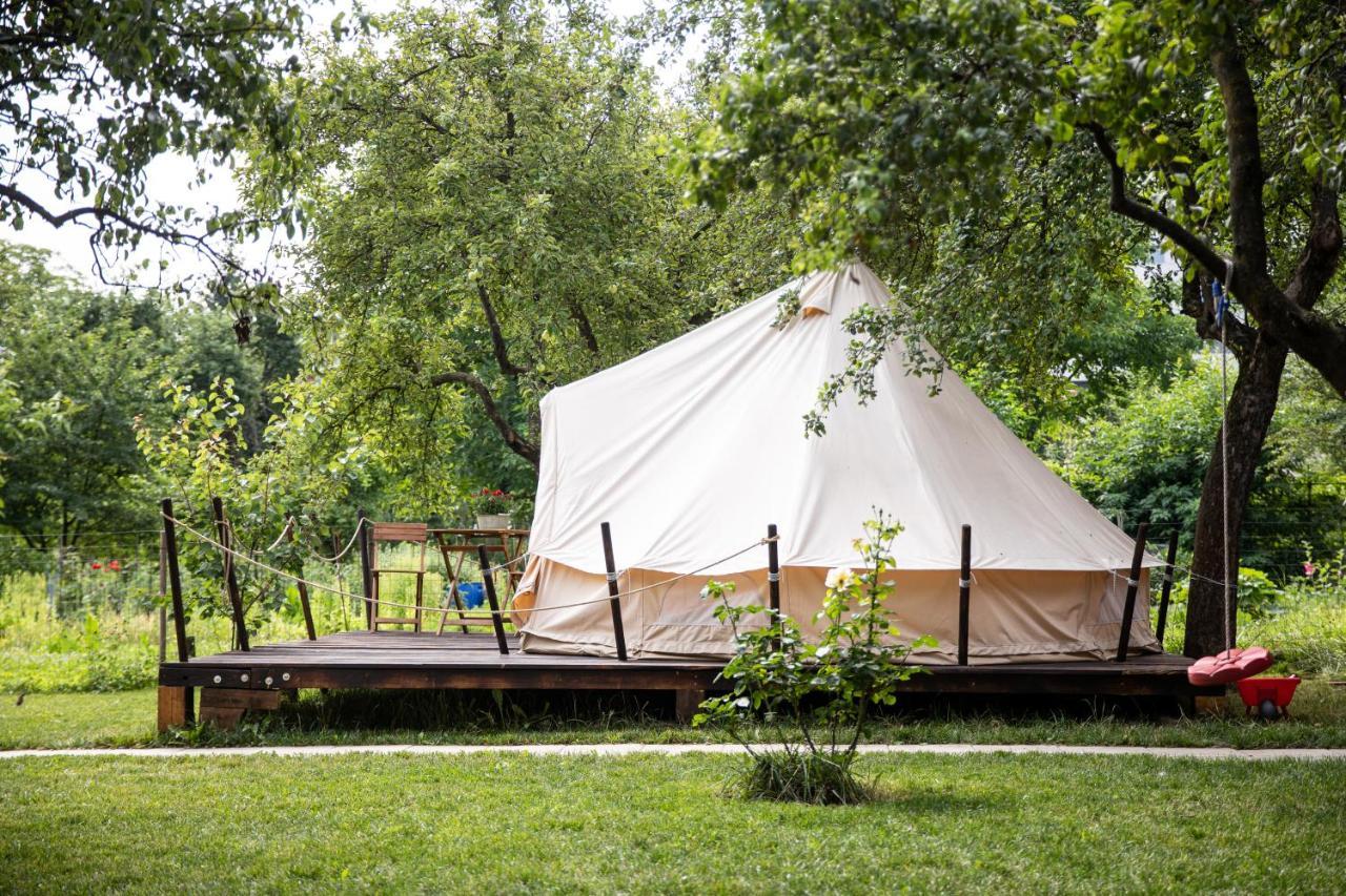 فندق Dragonfly Gardens Urban Glamping براشوف المظهر الخارجي الصورة