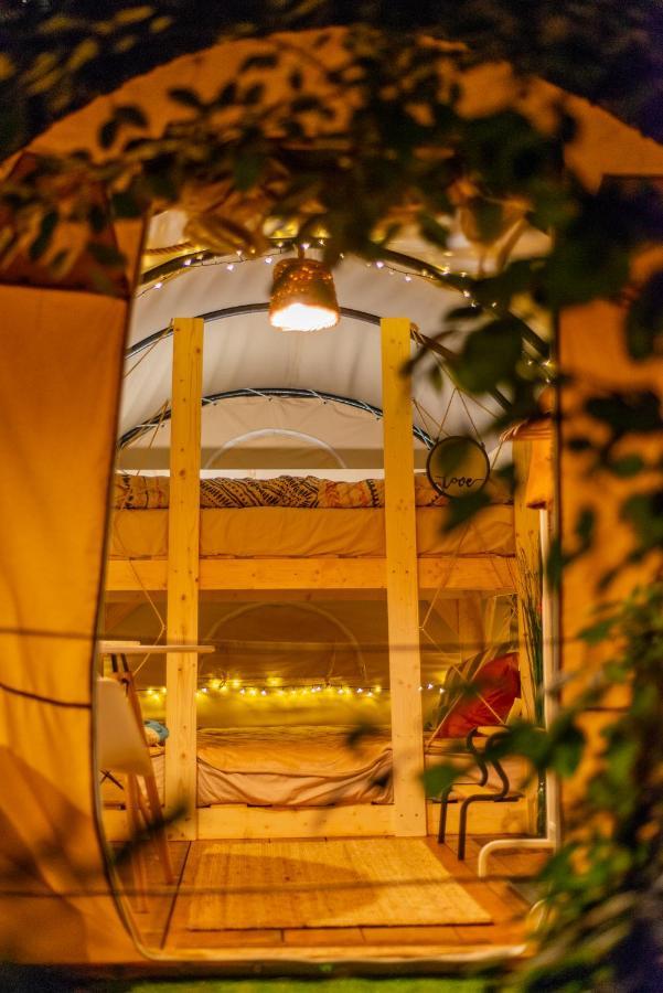 فندق Dragonfly Gardens Urban Glamping براشوف المظهر الخارجي الصورة