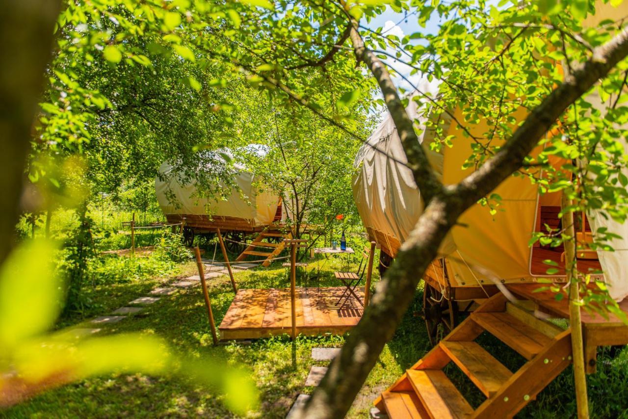 فندق Dragonfly Gardens Urban Glamping براشوف المظهر الخارجي الصورة